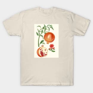 pomegranate T-Shirt